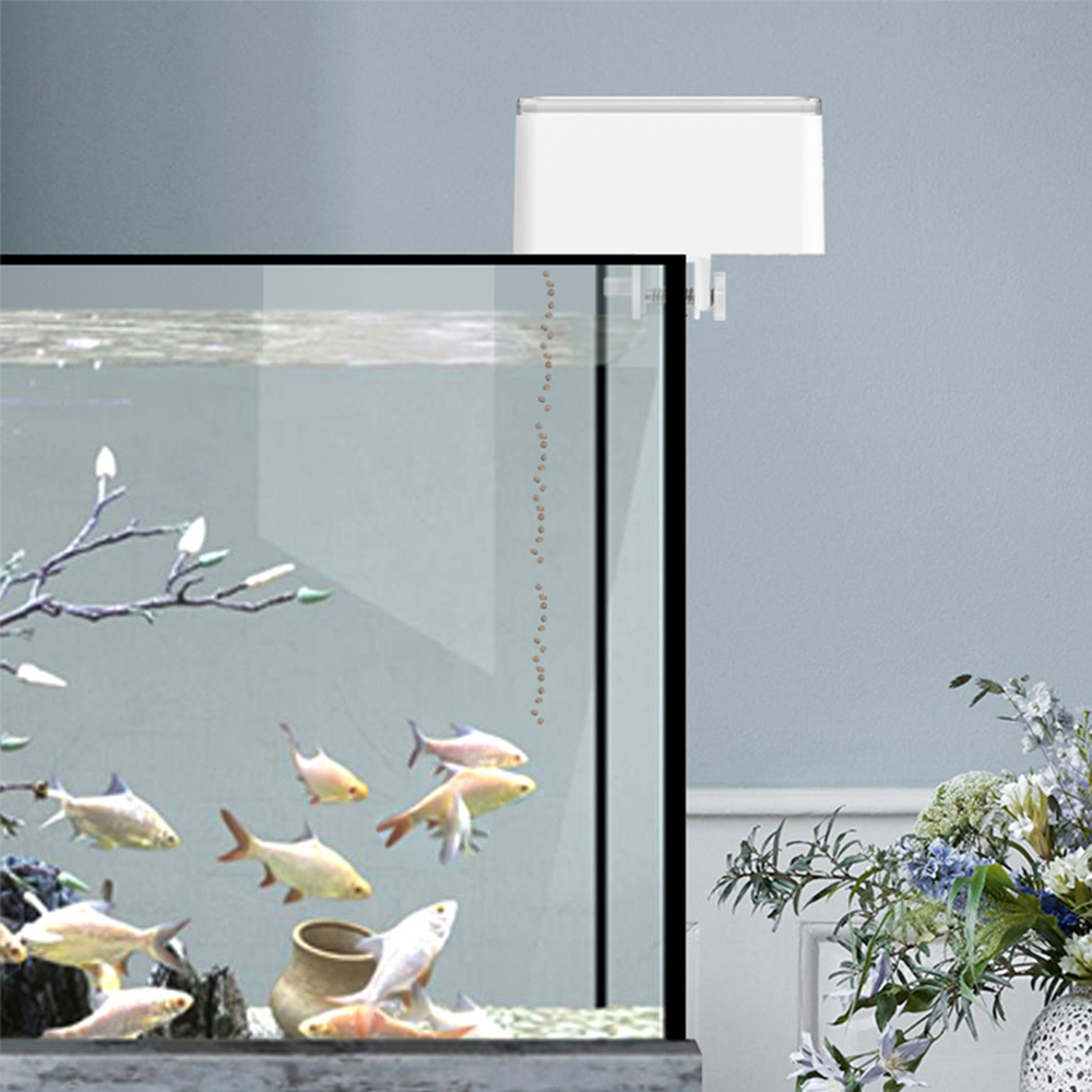 Alimentatore automatico per pi - Fishing Line Dispenser recensione e prezzo